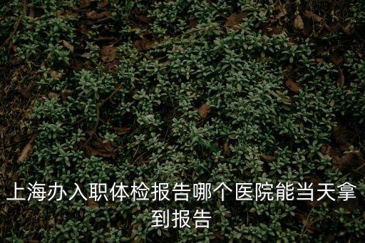上海市公共衛(wèi)生臨床中心 入職體檢，上海有哪幾家二級以上甲等醫(yī)院周六周日可以進行入職體檢費用是多