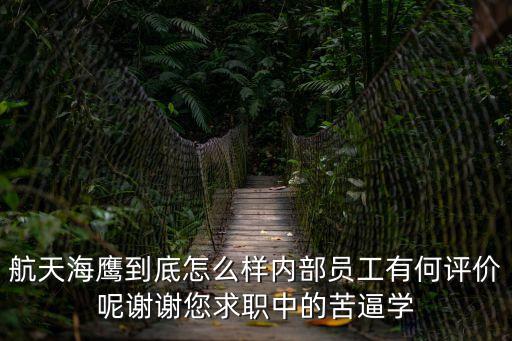 上海市航天海鷹，航天海鷹到底怎么樣內(nèi)部員工有何評價呢謝謝您求職中的苦逼學