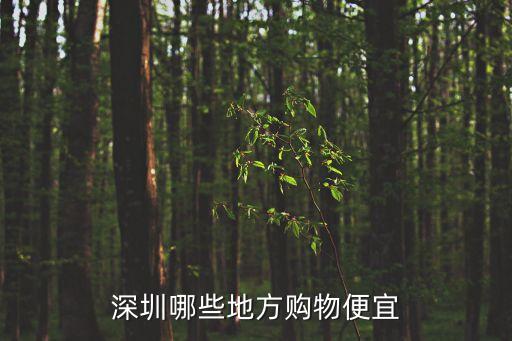 深圳哪些地方購物便宜