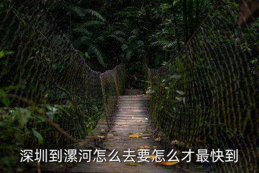 深圳到漯河怎么去要怎么才最快到
