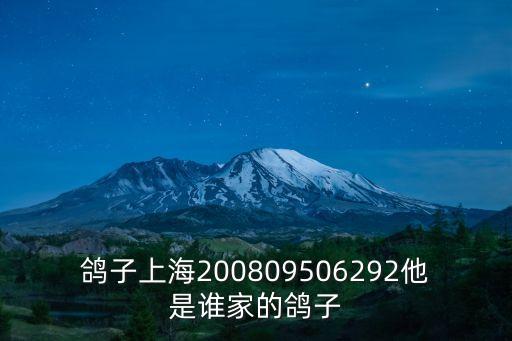鴿子上海200809506292他是誰家的鴿子