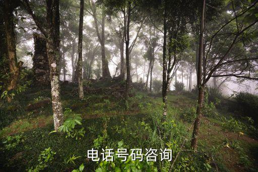 深圳市新安醫院 電話，深圳那個醫院看痔瘡最好電話是多少