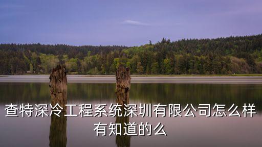 查特深冷工程系統深圳有限公司怎么樣有知道的么