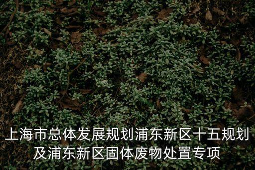 上海市總體發展規劃浦東新區十五規劃及浦東新區固體廢物處置專項
