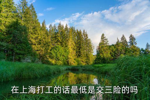 上海市三險一金最低繳，在上海打工的話最低是交三險的嗎