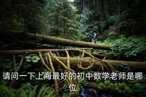 請問一下上海最好的初中數學老師是哪位