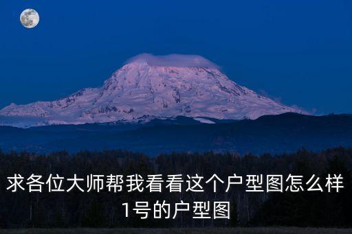 求各位大師幫我看看這個戶型圖怎么樣1號的戶型圖