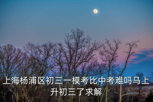 上海市楊浦區(qū)2019數(shù)學(xué)初三一模，上海市初三一模試卷哪里有賣