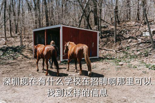 深圳現在有什么學校在招聘啊那里可以找到這樣的信息