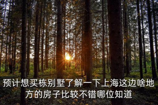 上海市金山園中苑別墅怎么樣，上海金山區的房子好嗎 在那邊買房哪個地段好 有升值空間 藍色收