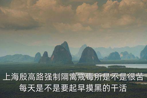上海市殷高路258弄，請教高人上海楊浦區翔殷路258弄28號是什么地方是公司還是住宅