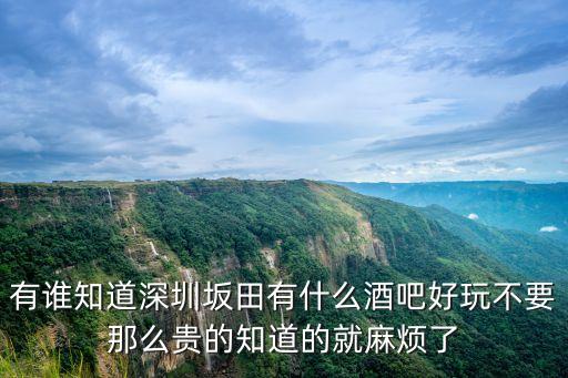 深圳板田有夜場嗎，布吉或坂田附近哪里有迪吧非KTV