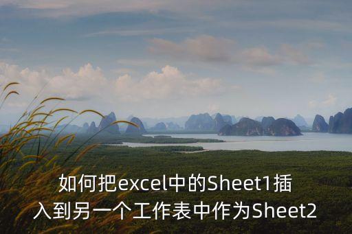 如何把excel中的Sheet1插入到另一個工作表中作為Sheet2