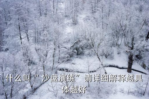 沙盤模擬培訓