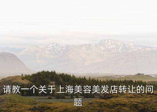 上海市區小理發店鋪轉讓，上海哪里有美發店轉讓