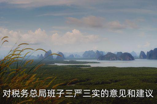 上海市稅務總局領導班子，稅務總局有那幾個協會會長都是誰