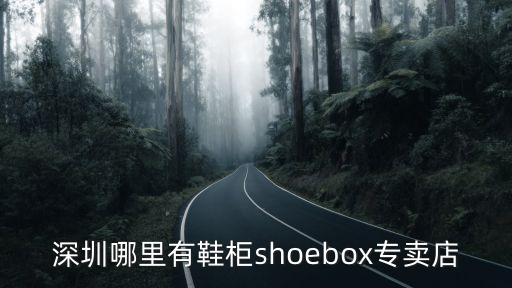深圳哪里有鞋柜shoebox專賣店