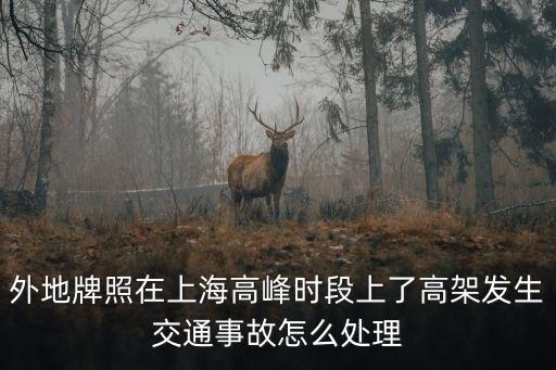 上海市高架車禍，外地牌照在上海高峰時段上了高架發生交通事故怎么處理