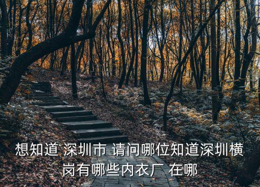 深圳小型內(nèi)衣加工廠，想知道深圳市 深圳市鐿緯達內(nèi)衣制造廠 在哪