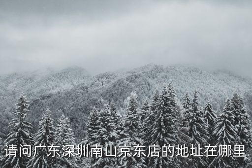 京東 深圳自提點(diǎn)，深圳有沒有京東快遞