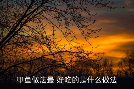 甲魚做法最 好吃的是什么做法