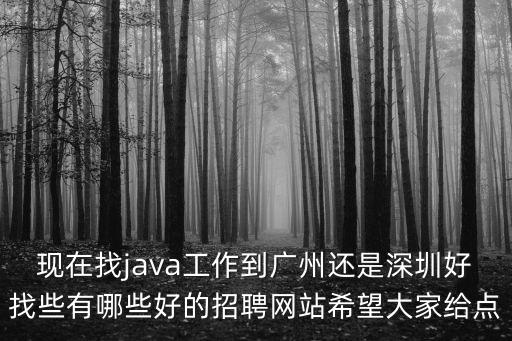 現在找java工作到廣州還是深圳好找些有哪些好的招聘網站希望大家給點