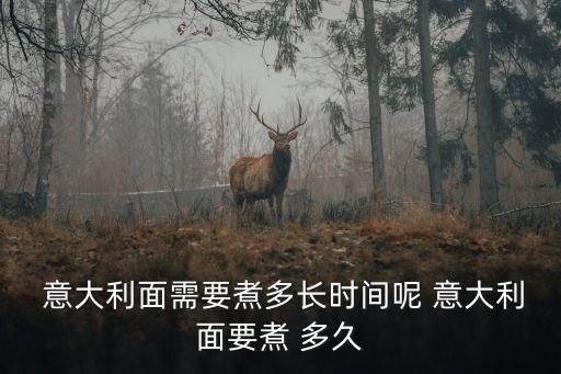 意大利面煮多久,意大利面條煮5-10分鐘即可熟