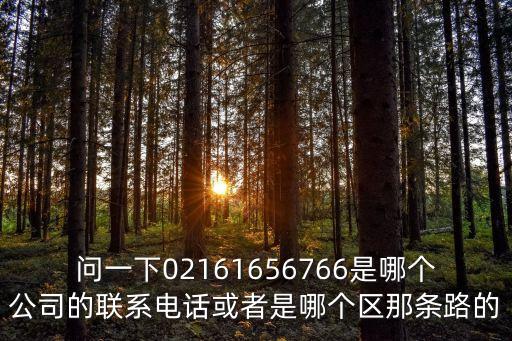 問一下02161656766是哪個公司的聯系電話或者是哪個區那條路的