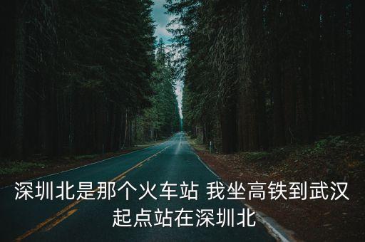 深圳北站到武漢哪，深圳北是那個火車站 我坐高鐵到武漢 起點站在深圳北