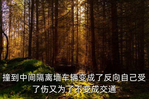 撞到中間隔離墻車輛變成了反向自己受了傷又為了不變成交通