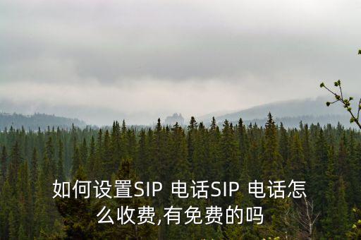 如何設置SIP 電話SIP 電話怎么收費,有免費的嗎