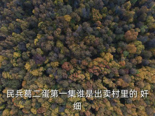 奸細(xì)劇情介紹,特務(wù)含羞草在哪一集發(fā)現(xiàn)的