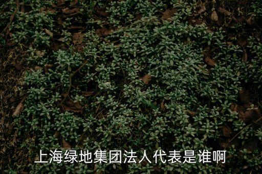上海綠地集團法人代表是誰啊