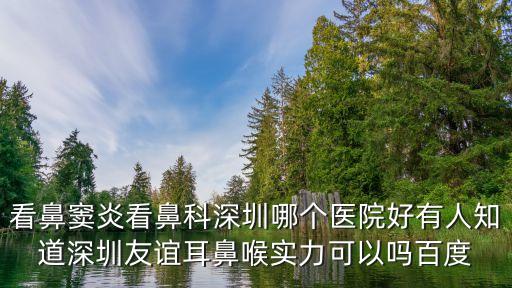 深圳治療鼻竇炎哪好放心友誼，看鼻竇炎看鼻科深圳哪個醫院好有人知道深圳友誼耳鼻喉實力可以嗎百度