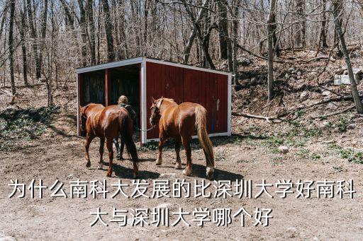 為什么南科大發展的比深圳大學好南科大與深圳大學哪個好
