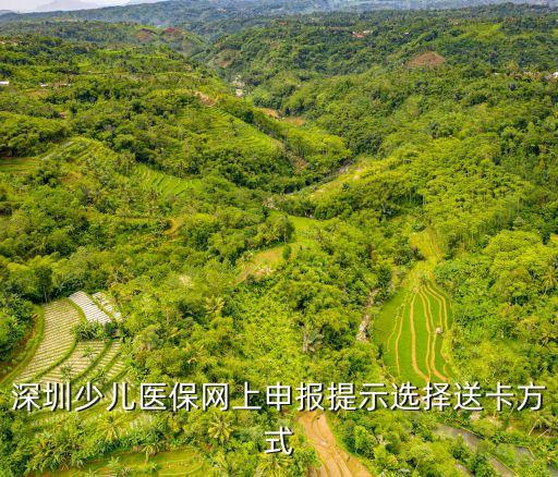 深圳少兒個人網上申報，深圳少兒醫(yī)保網上申報提示選擇送卡方式