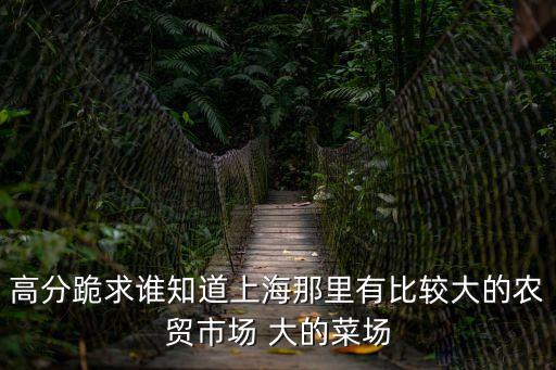 上海市武定路附近菜市場，上海最大的蔬菜批發(fā)市場叫什么在哪里