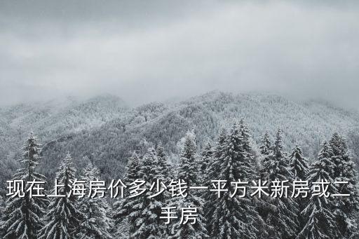 現(xiàn)在上海房價多少錢一平方米新房或二手房