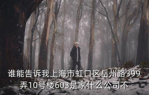 誰能告訴我上海市虹口區(qū)岳州路399弄10號(hào)樓603是家什么公司不