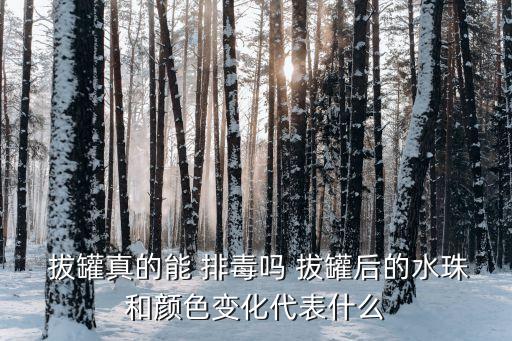 拔罐排毒