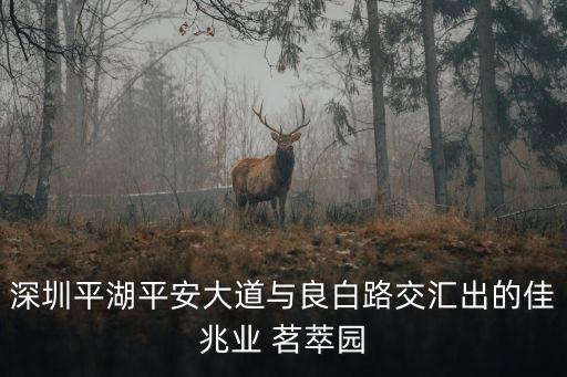 深圳平湖平安大道與良白路交匯出的佳兆業 茗萃園