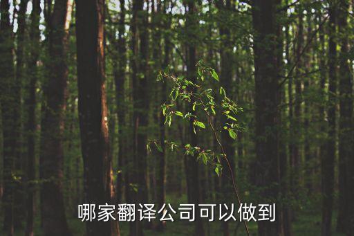 哪家翻譯公司可以做到