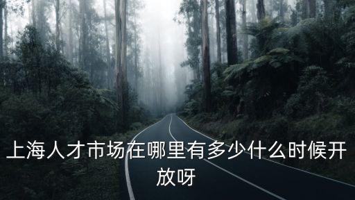 上海人才市場在哪里有多少什么時候開放呀