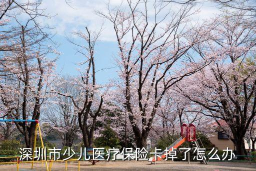 深圳市少兒醫(yī)療保險卡掉了怎么辦