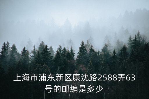 上海市浦東新區(qū)康沈路2588弄63號的郵編是多少