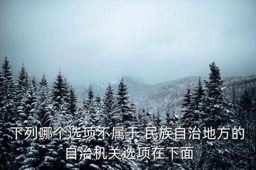 民族自治地方的自治機關是,憲法規定民族自治地方的自治機關是