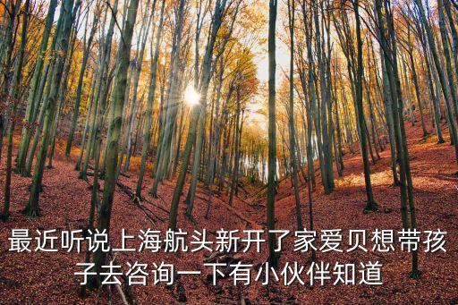 上海市航頭鎮航頭路1657弄二號，最近聽說上海航頭新開了家愛貝想帶孩子去咨詢一下有小伙伴知道