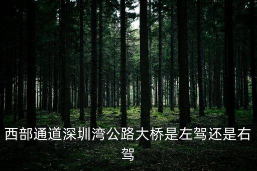 深圳灣西部棧道，西部通道深圳灣公路大橋是左駕還是右駕