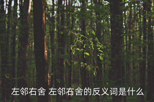  左鄰右舍 左鄰右舍的反義詞是什么