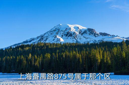 上海市番禺路屬于什么區，上海番禺路875號屬于那個區